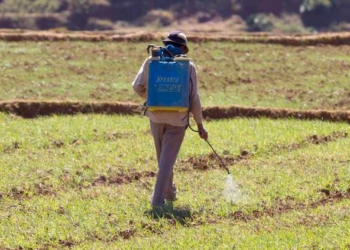 Pesticides Poison More Than 378 Million Farmers and Farmworkers Every Year, Report Says