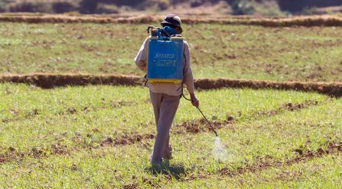 Pesticides Poison More Than 378 Million Farmers and Farmworkers Every Year, Report Says