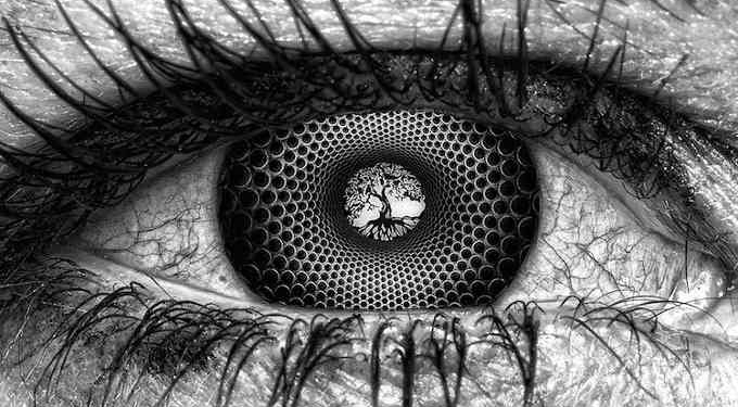 How the Shamanic Medicine Iboga Can Resolve and Heal Childhood Trauma