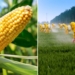 Mexico Decrees Ban on GMO Corn and Monsanto’s Glyphosate Weed Killer