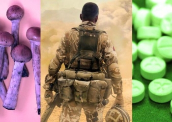California Bill Backed by PTSD War Veterans Groups Would Legalize Psychedelics Statewide