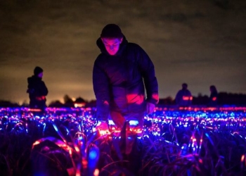 Dutch Design Artist Creates Dazzling Light-Show in a Leek Field that Enhances Plant Growth and Celebrates the Beauty of Agriculture