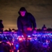 Dutch Design Artist Creates Dazzling Light-Show in a Leek Field that Enhances Plant Growth and Celebrates the Beauty of Agriculture