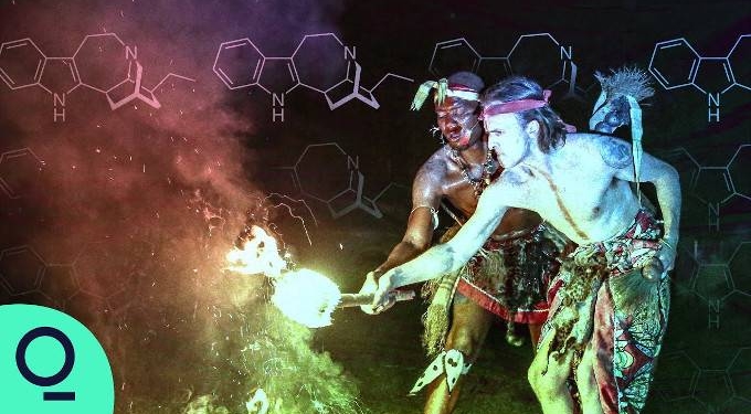 Can Ibogaine Solve the Opioid Crisis?