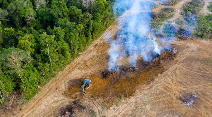 Humanity Must End ‘Senseless and Suicidal War on Nature’