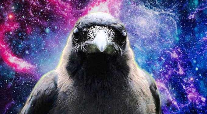 Scientists are Rethinking Animal Cognition as More Evolutionary Behaviors Emerge