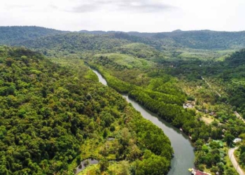 New NASA Satellite Data Prove Carbon Dioxide is Greening the Earth and Restoring Forests