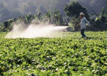 Study Finds That 64% of the World’s Farmland at Risk From Pesticide Pollution