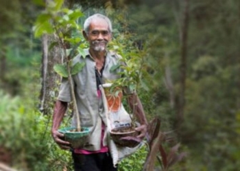 Indonesian Man Stops Drought And Brings Fortune to Village By Planting 11,000 Trees Over 19 Years