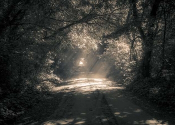 Light at the End of the Tunnel