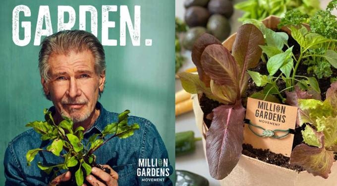 Elon Musk’s Brother Starts ‘Million Garden Movement’ to Plant a Garden For Every Household Living in a Food Desert