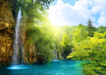 The Rights of Nature: We Need Nature More Than It Needs Us