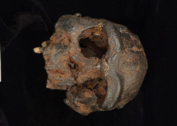 New Evidence In Search For the Mysterious Denisovans