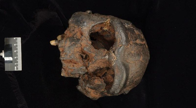 New Evidence In Search For the Mysterious Denisovans