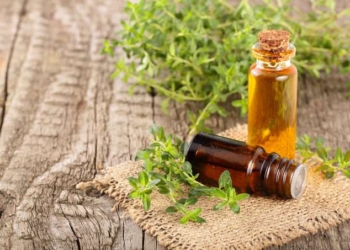 Thyme Extract Helps Treat COVID-19