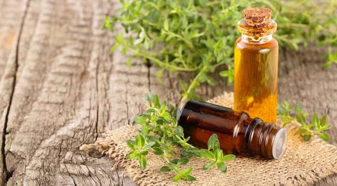 Thyme Extract Helps Treat COVID-19