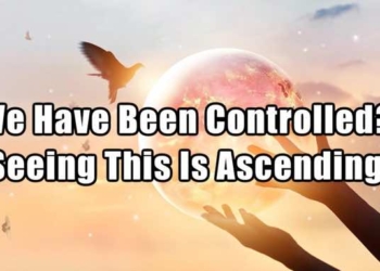 WATCH: We Have Been Controlled – Seeing This Is Ascending | Lorie Ladd