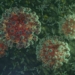 Fearmongering Goes Nuclear — ‘We’re in Brand-New Pandemic’