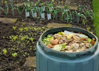 Not Wasting Food to Save the World