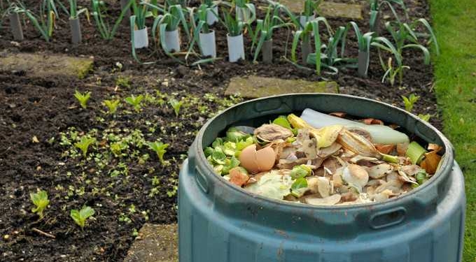 Not Wasting Food to Save the World