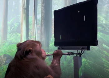 Monkey Plays Video Games With Its Mind Using Elon Musk’s Neuralink