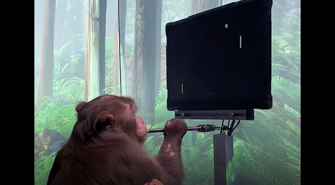 Monkey Plays Video Games With Its Mind Using Elon Musk’s Neuralink