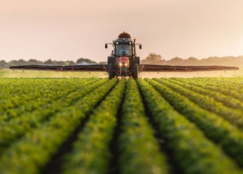 Six Months to Prevent a Hostile Takeover of Food Systems, and 25 Years to Transform Them