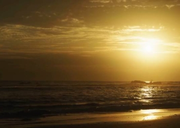 Oracle Girl: We Live in a NEW TIME [Super Empowering & Stunningly Beautiful Video]