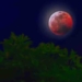 Super Blood Moon Lunar Eclipse – How it Affects Humanity Through June 3rd, ’21