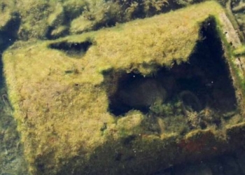 Scientists Horrified as Over 27,000 Leaking Barrels of Toxic DDT Discovered on Seafloor Near LA
