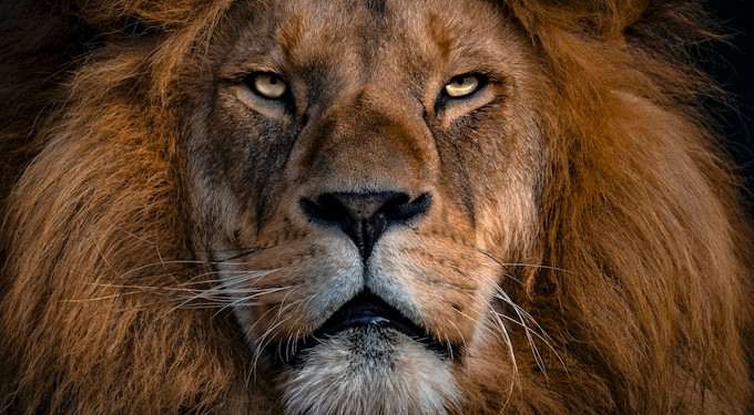 Bravery and Risk in the Age of Truth