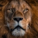 Bravery and Risk in the Age of Truth