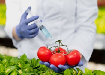 Parallels Between GMO COVID Vaccine and GMO Crops – Lessons Not Learned
