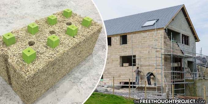 As Wood Prices Surge 400%, Hemp Homes are Cheaper, More Efficient, and CO2 Negative