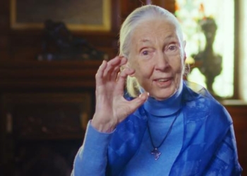 Humanity Must Embark on ‘New Relationship With the Natural World,’ Says Jane Goodall
