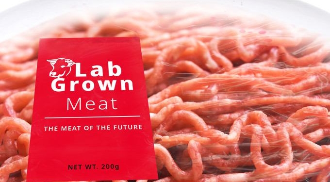 The Real Reason Bill Gates, Jeff Bezos and Google Want You to Eat Lab-Grown ‘Meat’