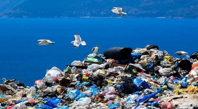 Microplastic Pollution is Escalating Around the World, Study Suggests