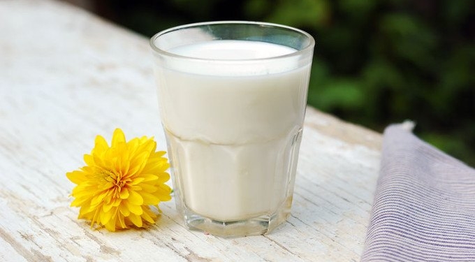Top Scientist Exposes the Real Dangers of Milk: It ‘Turns on Cancer’ and ‘Leaches Calcium from Your Bones’
