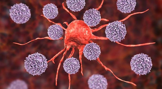 New Research Optimizes Body’s Own Immune System to Fight Cancer
