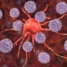New Research Optimizes Body’s Own Immune System to Fight Cancer
