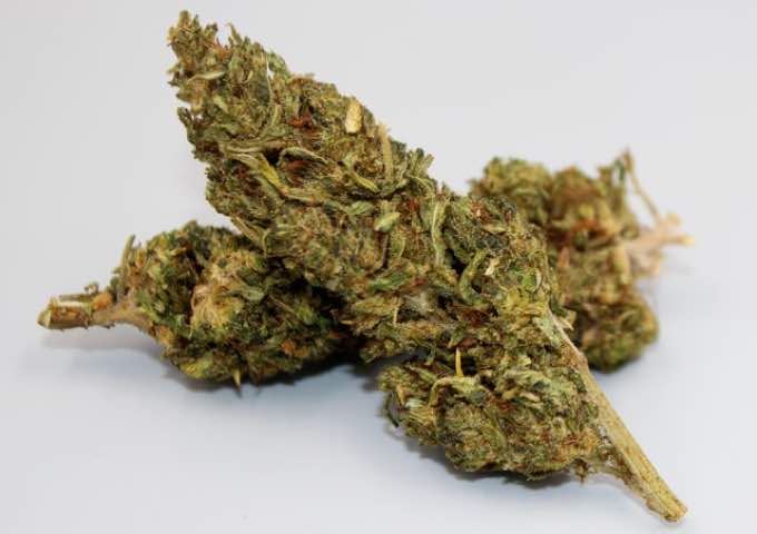 Easy Ways to Buy Weed Online in Canada: A Complete Guide