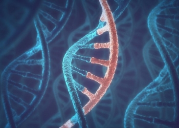 New Discovery Shows Human Cells Can Write RNA Sequences into DNA
