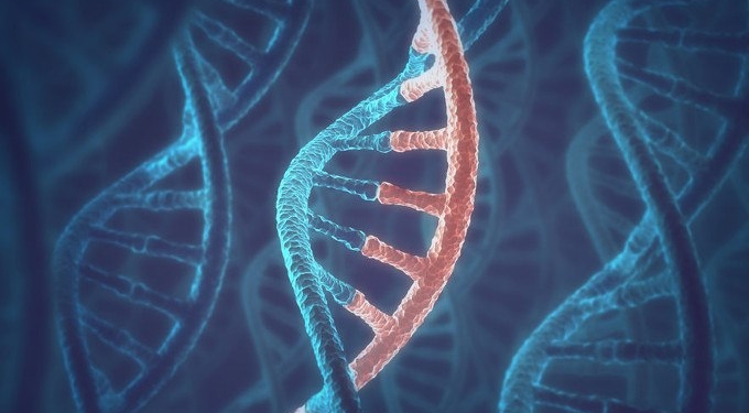 New Discovery Shows Human Cells Can Write RNA Sequences into DNA