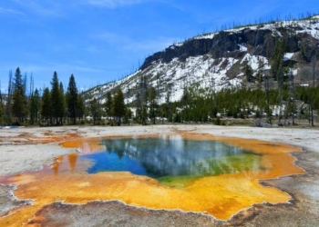 Yellowstone is Losing Its Snow as the Climate Warms, and that Means Widespread Problems for Water and Wildlife