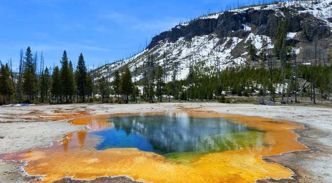Yellowstone is Losing Its Snow as the Climate Warms, and that Means Widespread Problems for Water and Wildlife