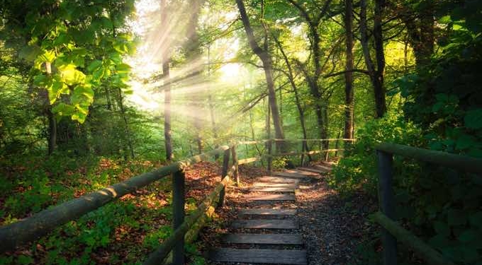 Pleiadian-Earth Energy Report for 7 June, 2021: Illuminating Energy