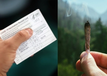 Joints for Jabs Bribery: Washington State to Give Away Free Cannabis Joints With COVID-19 Jabs