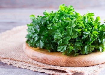 Guess What’s Been Named Herb of the Year for 2021