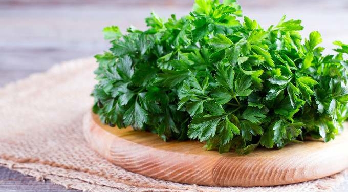 Guess What’s Been Named Herb of the Year for 2021