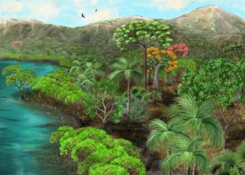 A Volcanic Eruption 39 Million Years Ago Buried a Forest in Peru – Now the Petrified Trees are Revealing South America’s Primeval History